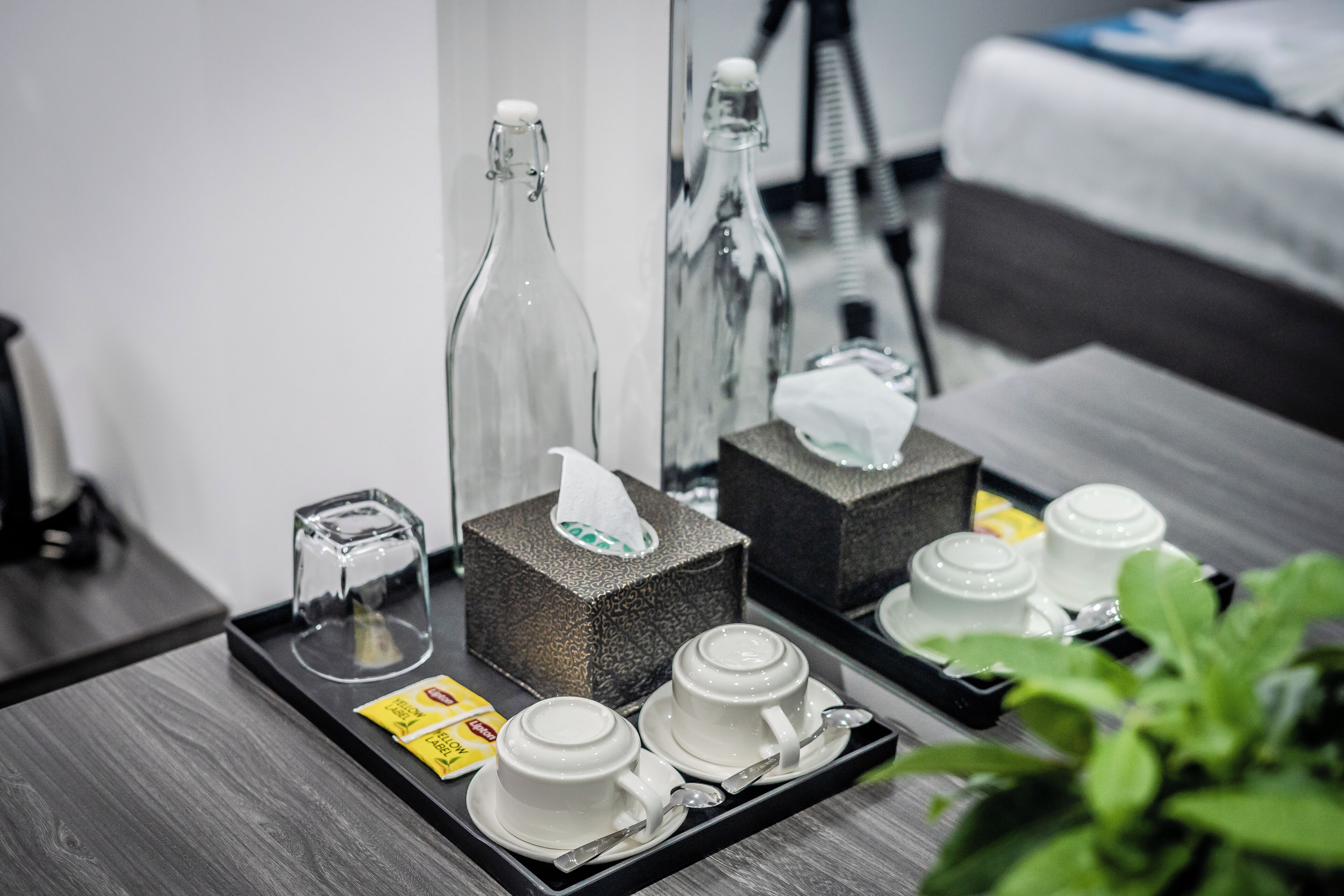 A hotel room's breakfast tray with a tissue box, a glass bottle, two cups, and a small plant.