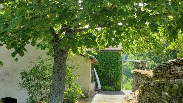Un étroit sentier mène à un bâtiment doté d’un mur en pierre et d’un autre mur recouvert de lierre.
