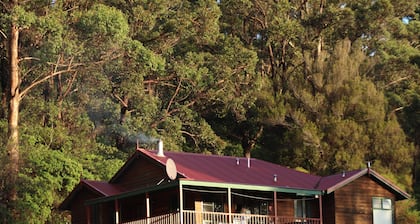 Cabins nestled in 170 acres of old growth forest near the Valley of the Giants.