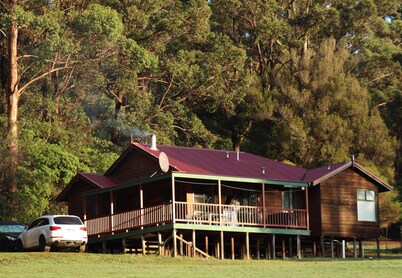 Cabins nestled in 170 acres of old growth forest near the Valley of the Giants.