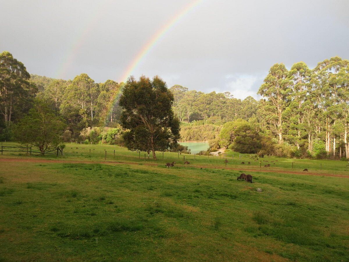 A grassy field with a rainbow, trees, and a lake.