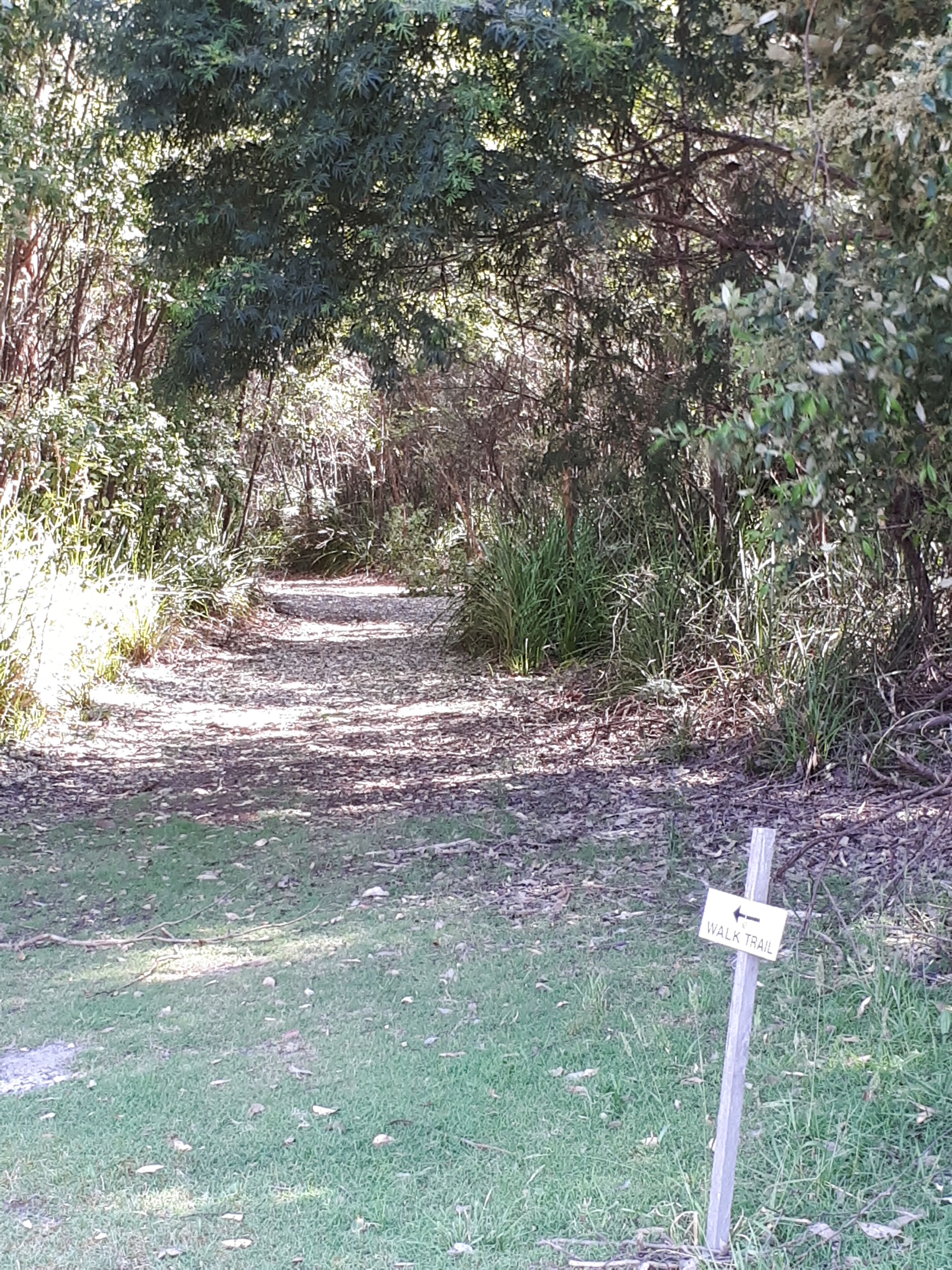 A narrow, leaf-covered path in a wooded area with a sign indicating a walk trail.