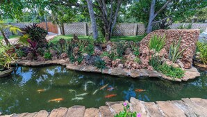 A pond with koi fish, surrounded by rocks and plants. - Hibiscus (Diani Beach)