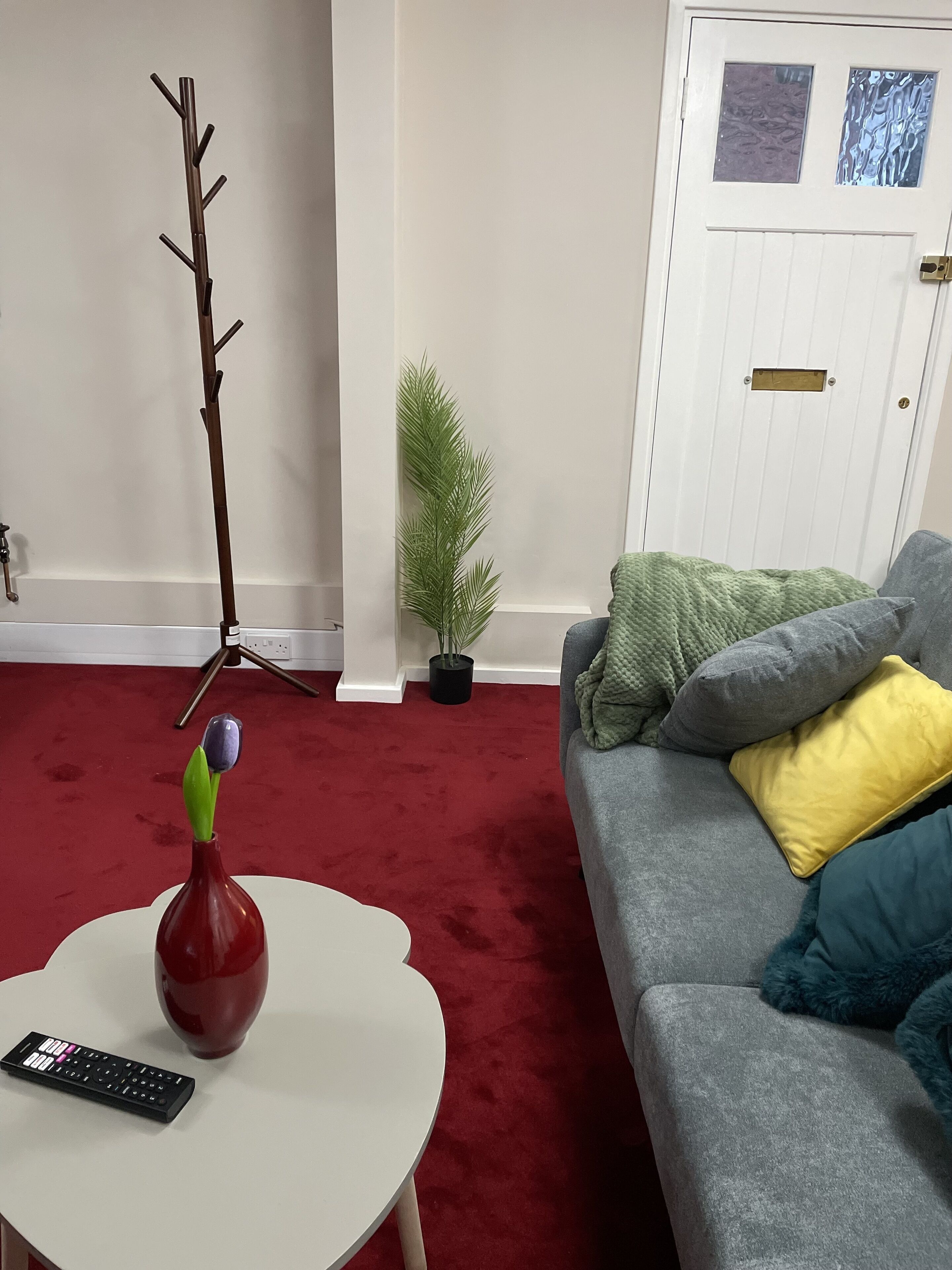 A living room with a red carpet, a white coffee table with a remote control, a grey sofa with colorful cushions, a coat rack, and a small potted plant.