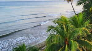 Ein Strand mit Palmen und Meereswellen.