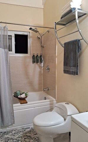 Hair dryer, towels, soap, shampoo