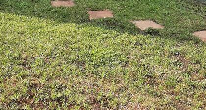 Haus Waldblick at the gateway to the Schorfheide