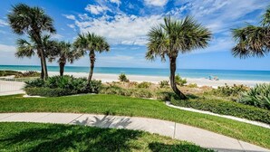 A beachfront property with palm trees, a pathway, and a view of the ocean.