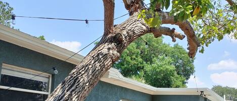 Área de parrilladas y picnic