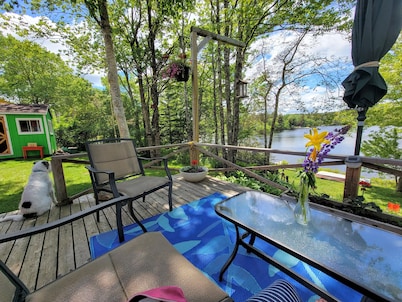 Cottage Cheese Too: Quaint lakefront cottage 30 minutes from town on quiet cove.