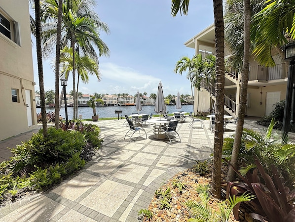 A patio area with outdoor seating, palm trees, and a view of a body of water.