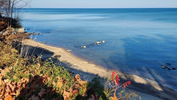 A beach with clear blue water, sandy shore, and autumn leaves. - Hemlock Hideout - 3 Mins from DT Lex, Great Beach! (Lexington Township)