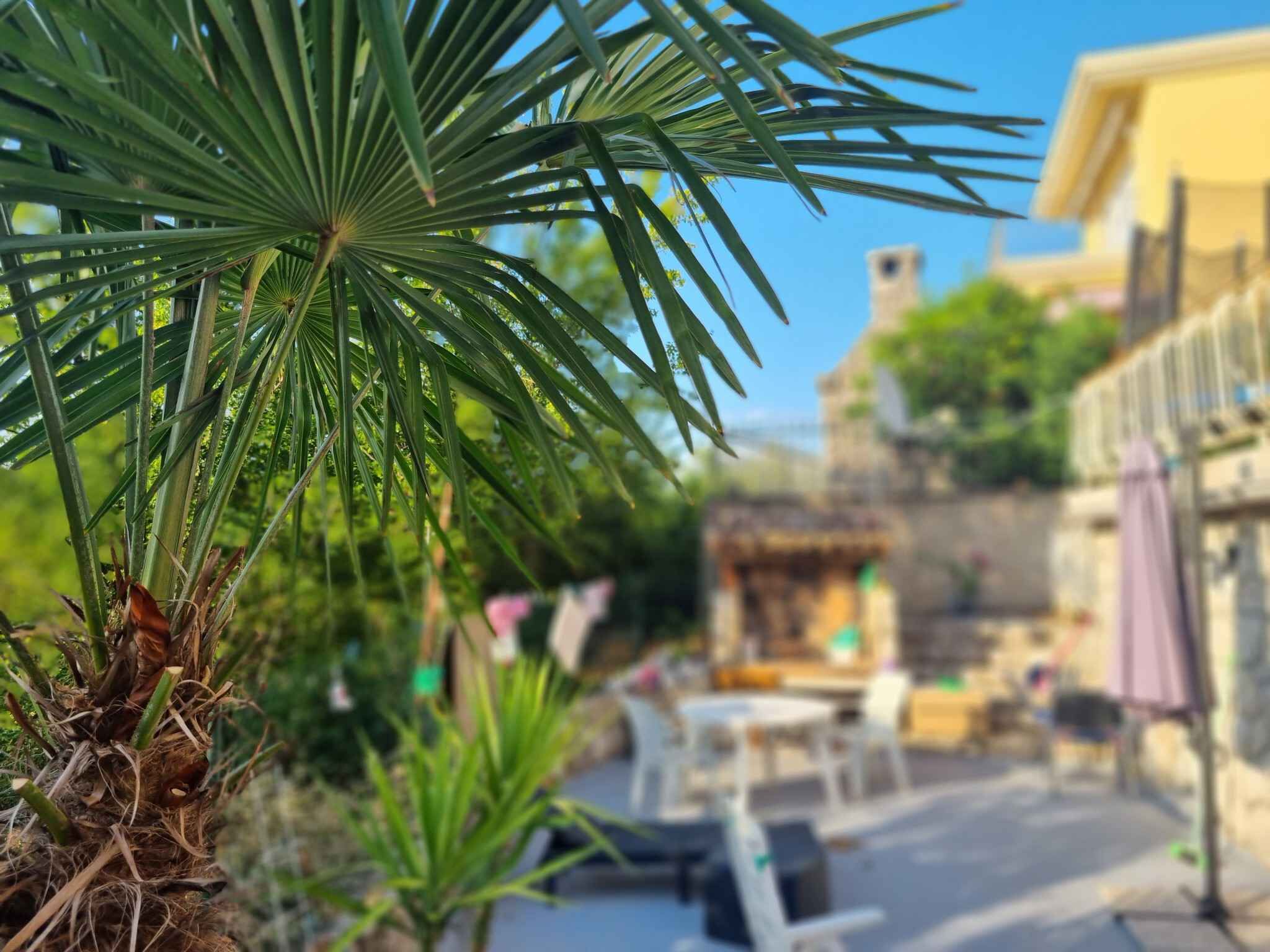 Servei de restauració a l'aire lliure