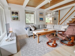 TV, fireplace, DVD player