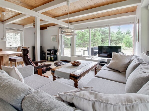 TV, fireplace, DVD player