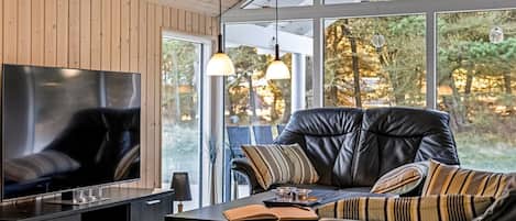 TV, fireplace, DVD player