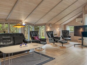 TV, fireplace, DVD player