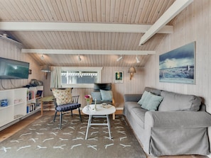 Fernseher, Kamin, DVD-Player