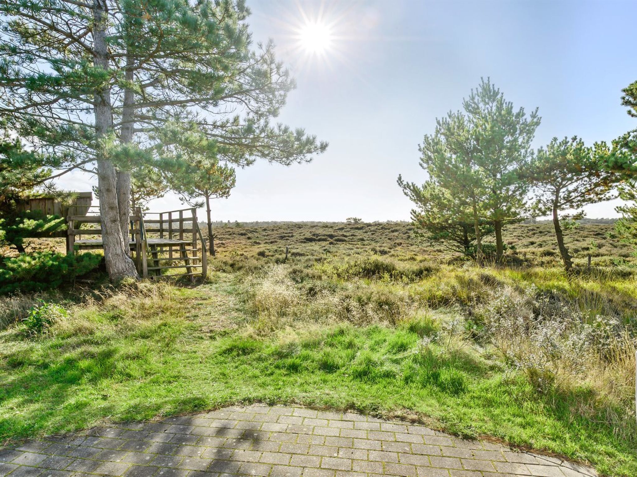 A paved pathway leading to a wooden gate, surrounded by grass and trees in a natural setting.