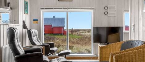 Televisión, chimenea, reproductor de DVD