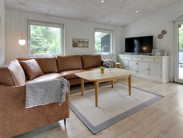 TV, fireplace, DVD player