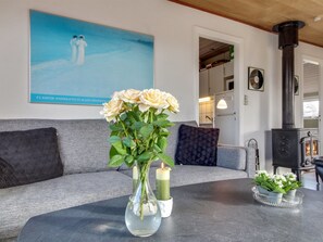 Tv, pejs, dvd-afspiller