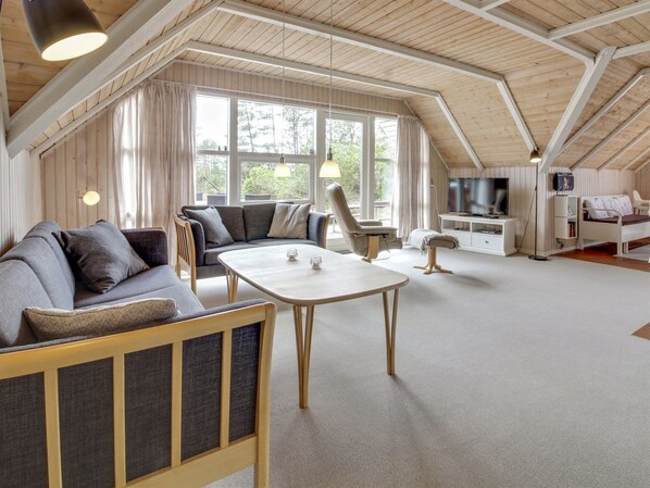 Tv, pejs, dvd-afspiller