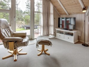 Tv, pejs, dvd-afspiller
