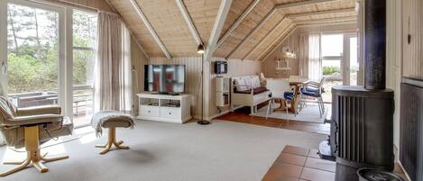 TV, fireplace, DVD player