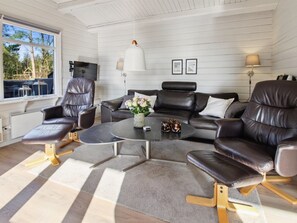 Tv, pejs, dvd-afspiller