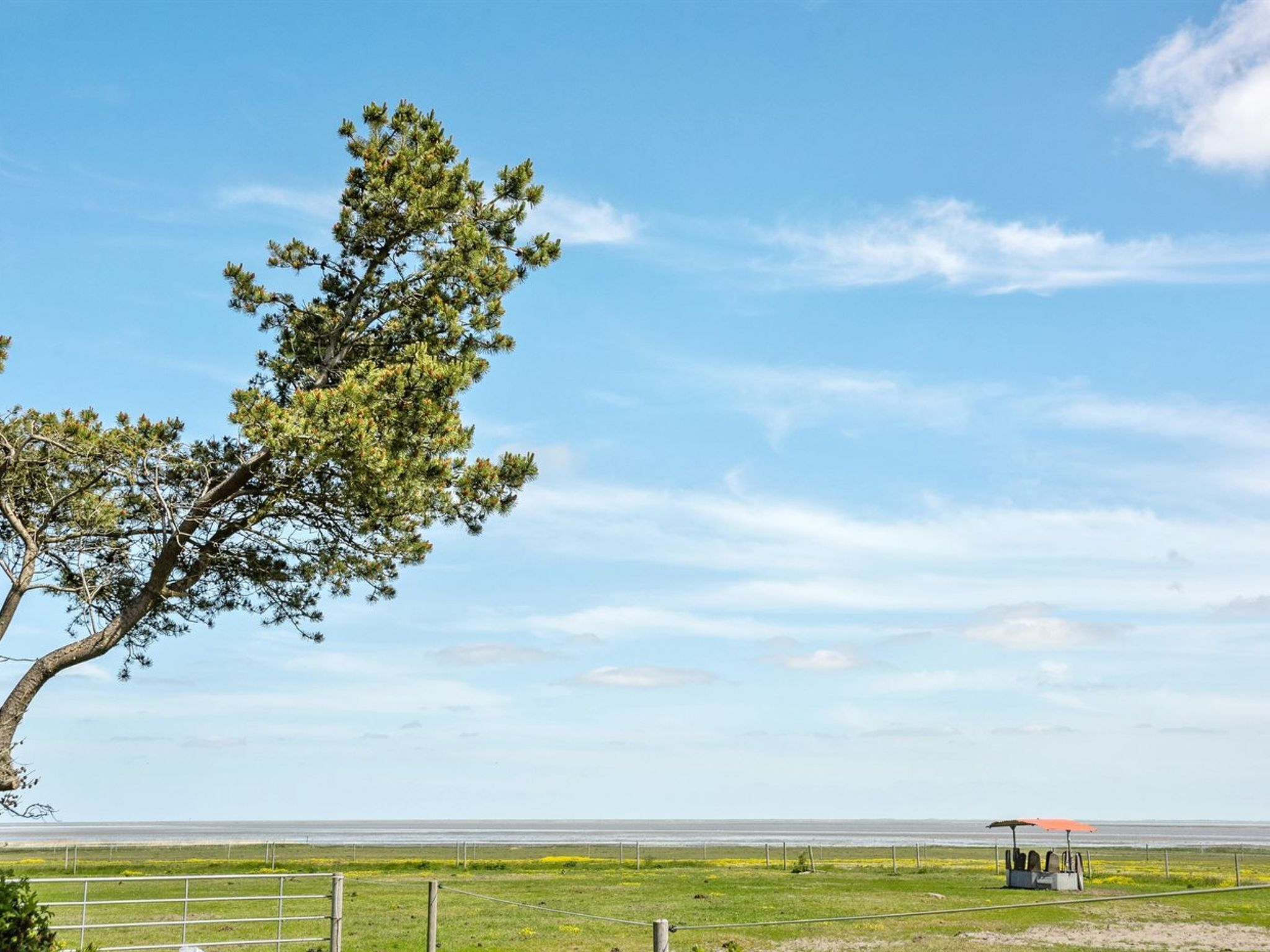 Kustlandschap met een opvallende boom, een omheind gebied en een vergezichte op zee.