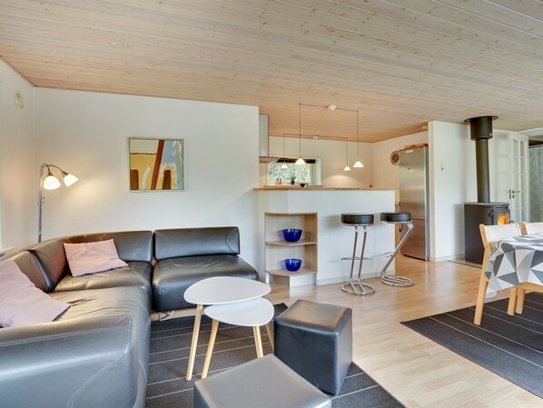 TV, fireplace, DVD player