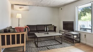 Televisión, chimenea y reproductor de DVD 