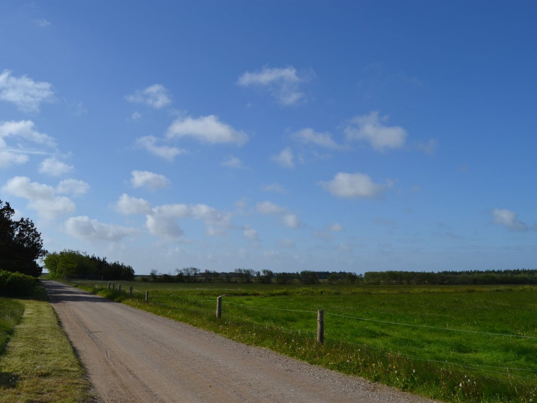 A rural dirt road with green fields on either side and a clear blue sky.