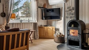 Een gezellige woonkamer met houten inrichting, een open haard, een televisie en een raam met gordijnen.