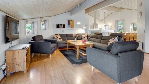 A modern living room with a large sofa, a coffee table, and a TV. There are windows and a mirror on the wall. - "Asdis" - 2.8km from the sea by Interhome (Rømø)