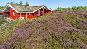 A red house with a sloped roof, surrounded by purple heather. - "Asdis" - 2.8km from the sea by Interhome (Rømø)