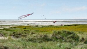 A beach with a kite flying in the sky.