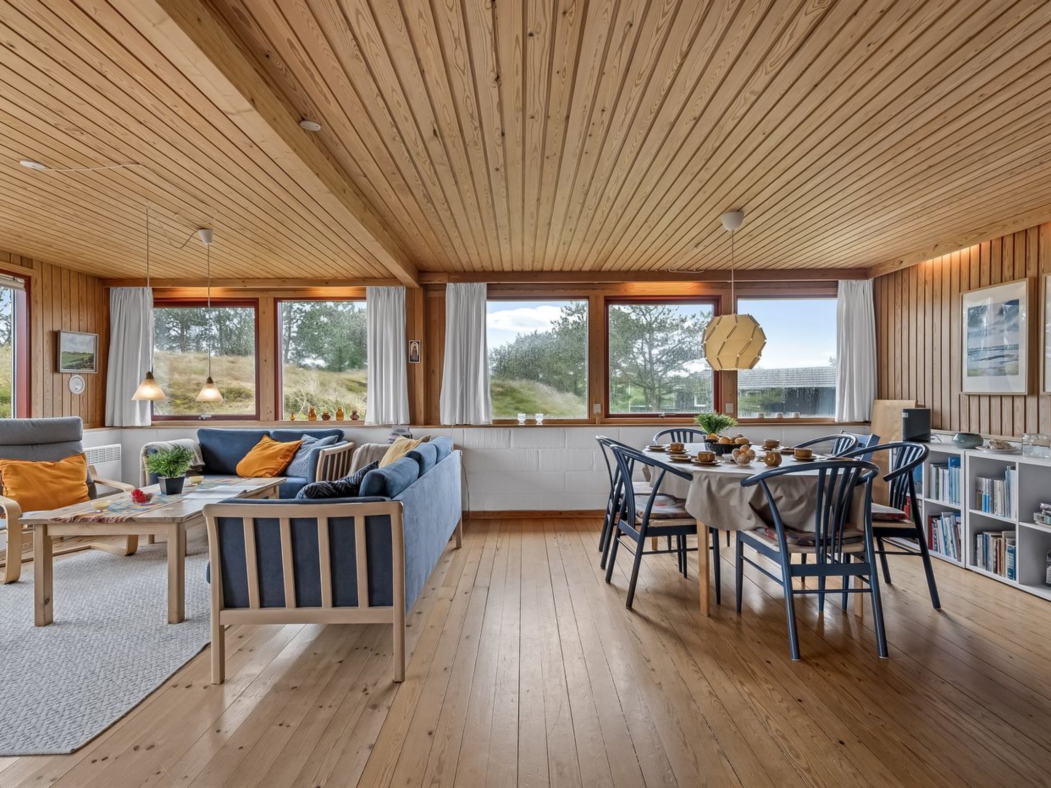 Tv, pejs, dvd-afspiller