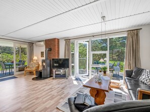 TV, fireplace, DVD player