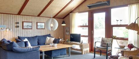 TV, fireplace, DVD player