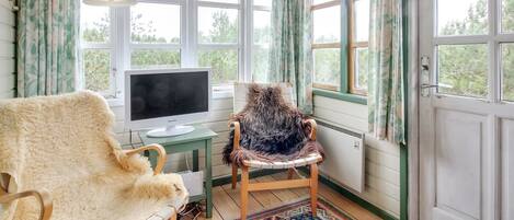 Fernseher, Kamin, DVD-Player