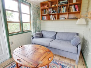 TV, fireplace, DVD player