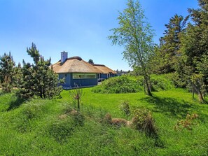 Terrain de l’hébergement 