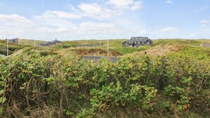 Eine Küstenlandschaft mit einem großen Haus auf einer grasbewachsenen Hügelkuppe, umgeben von niedriger Vegetation und blauem Himmel.
