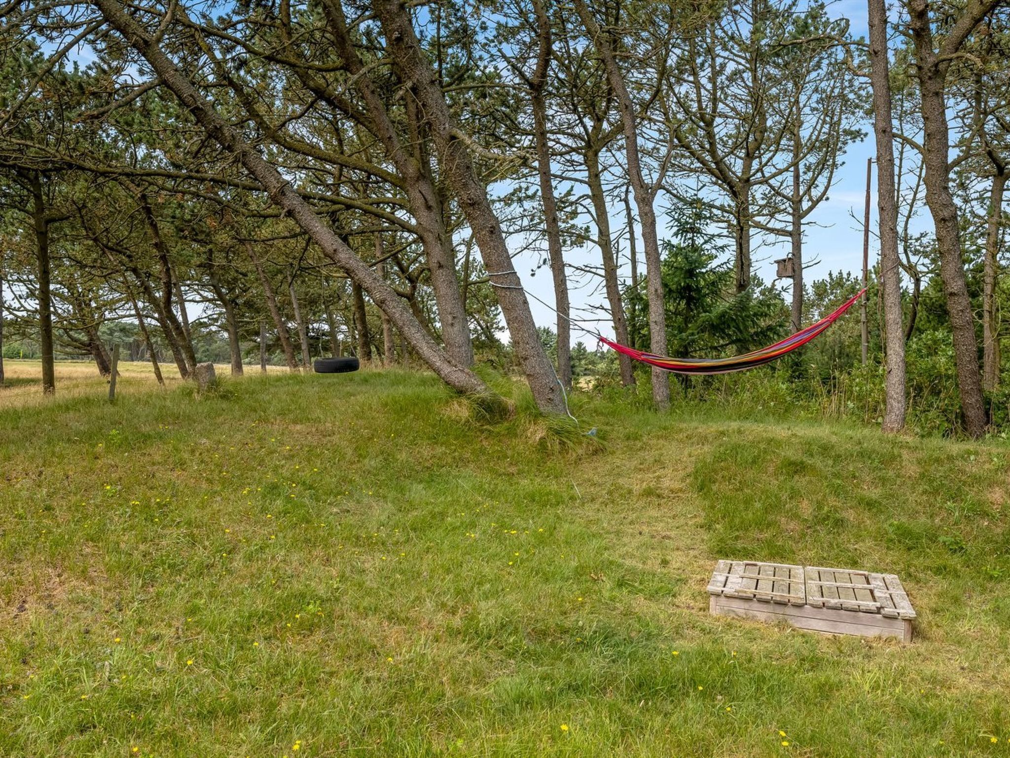 A hammock between trees in a grassy field with a wooden bench nearby.