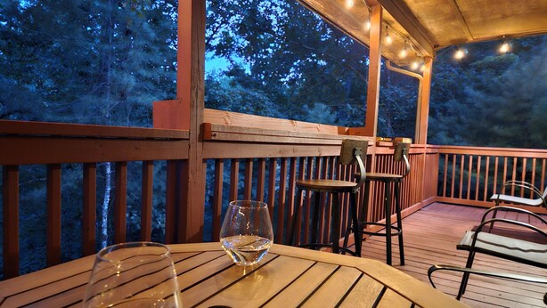 Une terrasse en bois avec une table et des chaises, donnant sur une zone boisée.