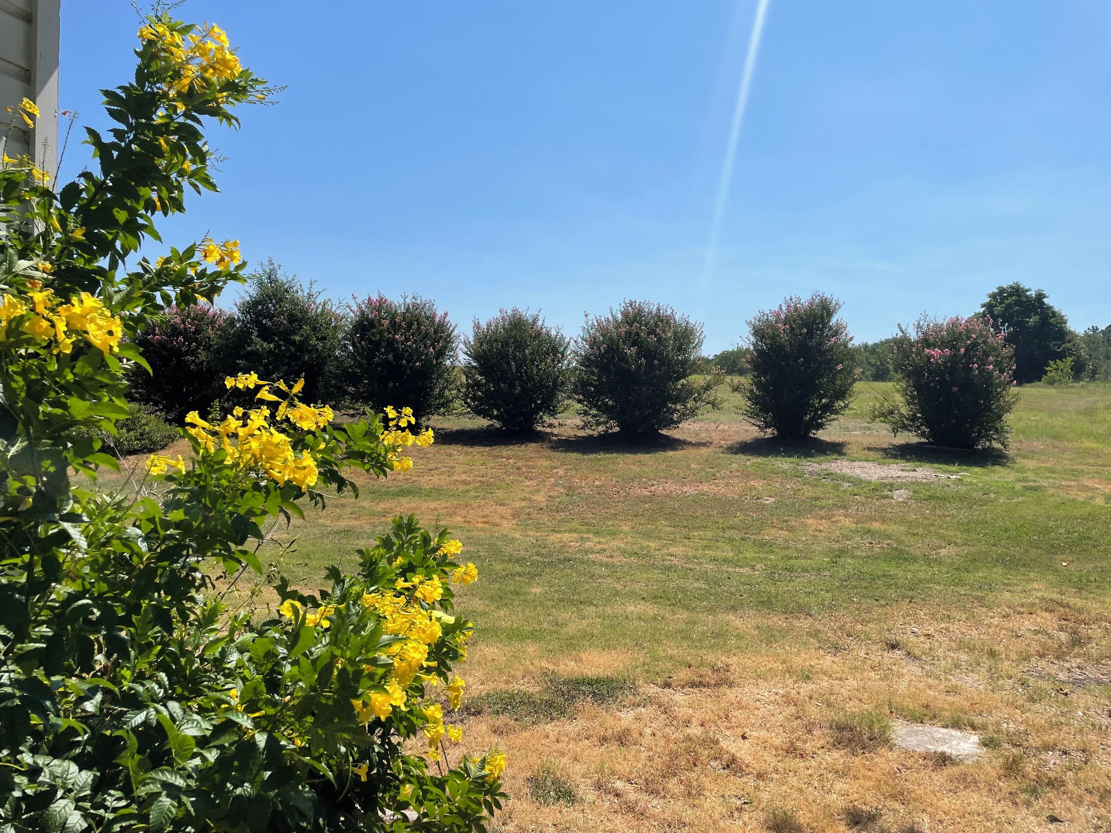 Área da propriedade