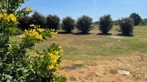 Un campo erboso con diversi cespugli e un edificio sullo sfondo.