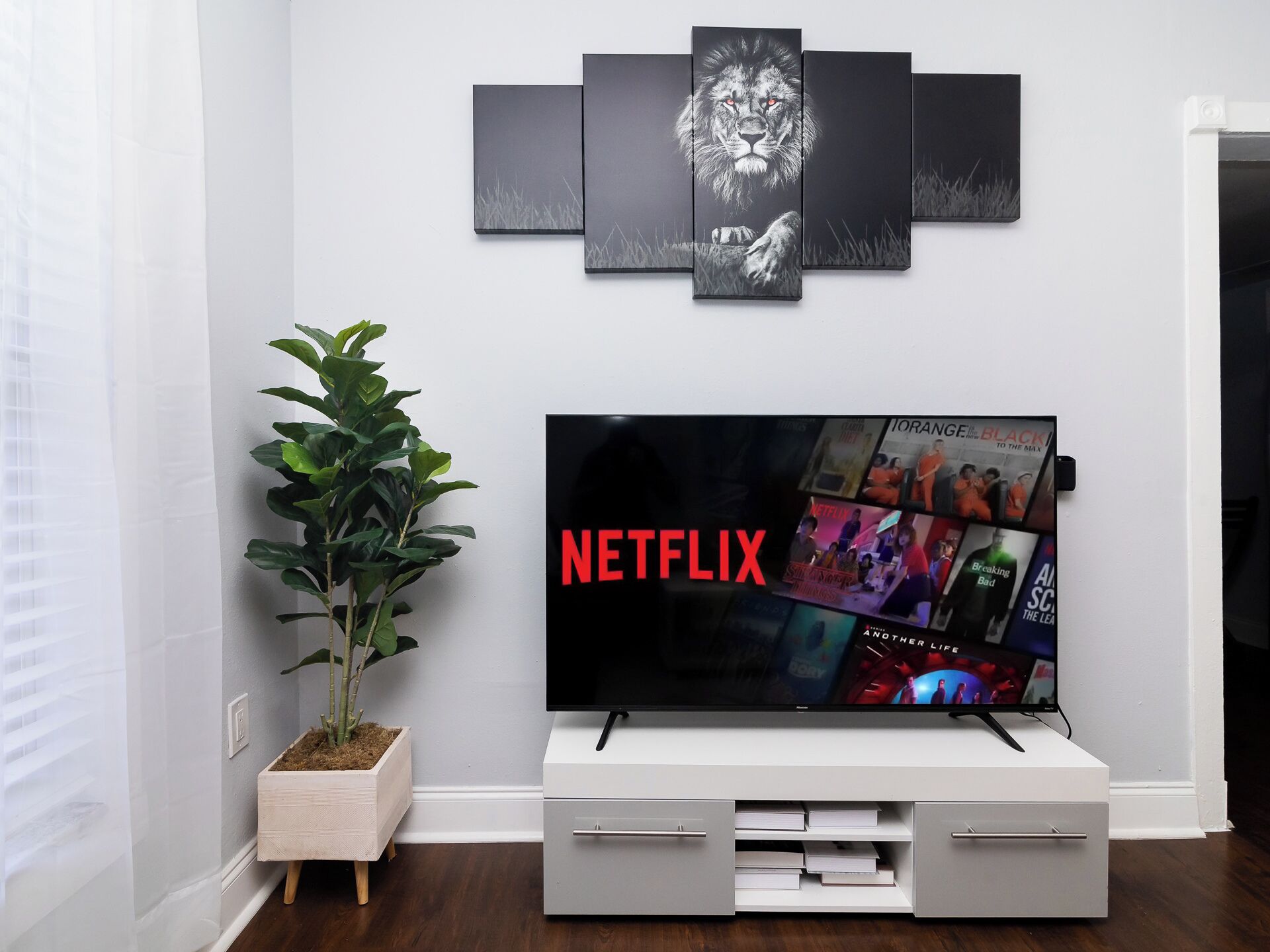 獨棟房屋, 1 張特大雙人床和 1 張沙發床, 廚房 | 起居區